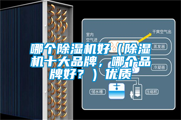 哪個(gè)除濕機(jī)好（除濕機(jī)十大品牌，哪個(gè)品牌好？）優(yōu)質(zhì)